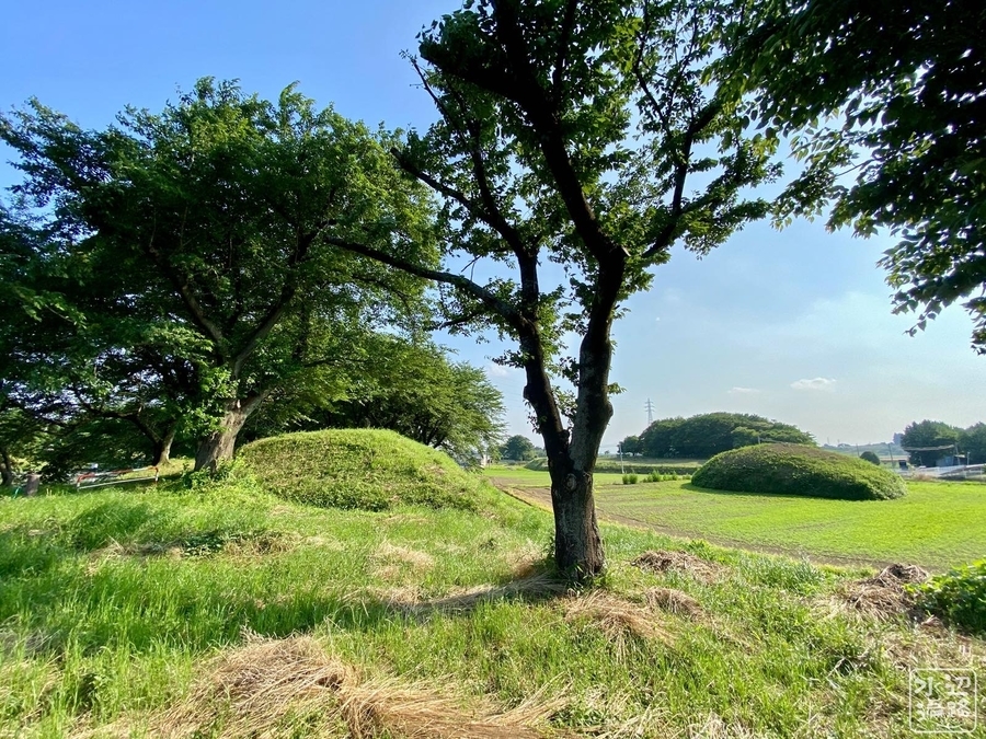 f:id:cippillo:20201215093926j:plain