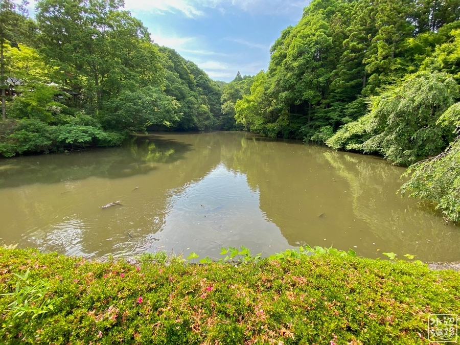 f:id:cippillo:20201215132905j:plain