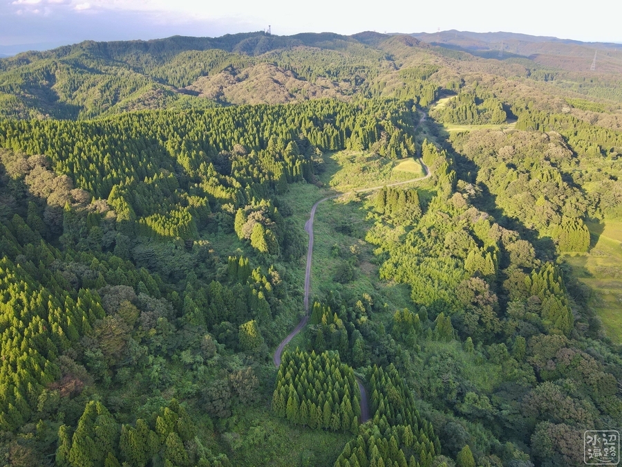 f:id:cippillo:20201219161738j:plain