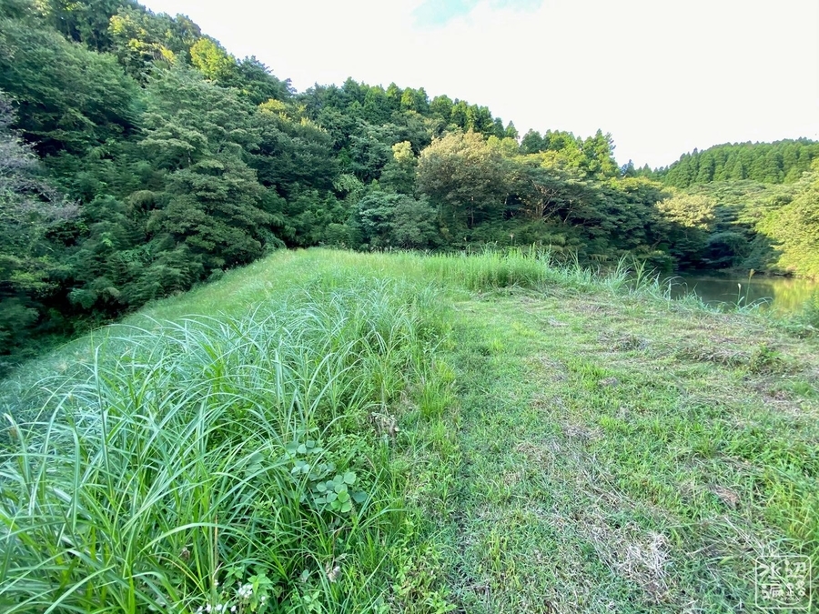 f:id:cippillo:20201219162835j:plain