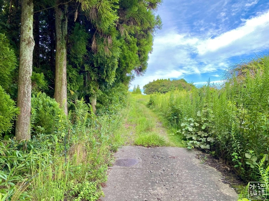 f:id:cippillo:20201219162841j:plain