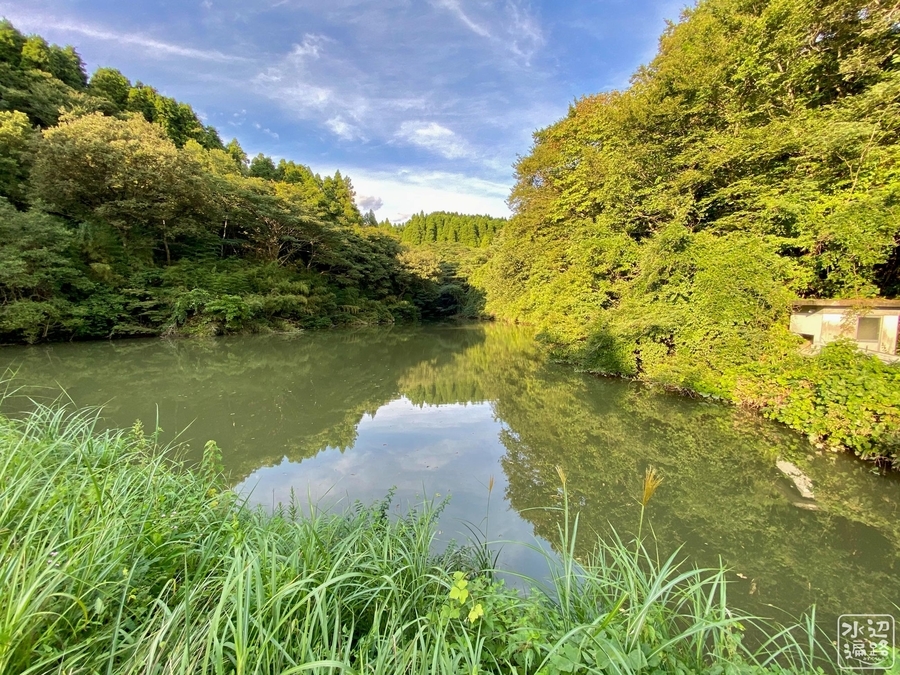 f:id:cippillo:20201219162906j:plain