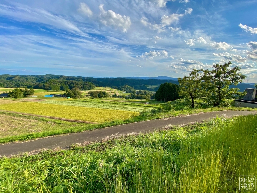 f:id:cippillo:20201219162915j:plain