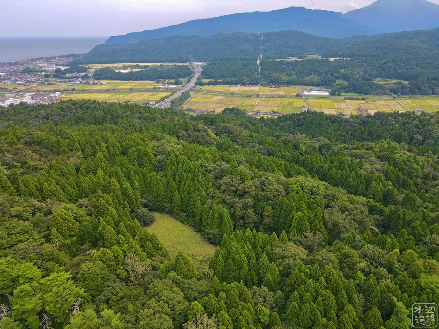 f:id:cippillo:20201221103828j:plain