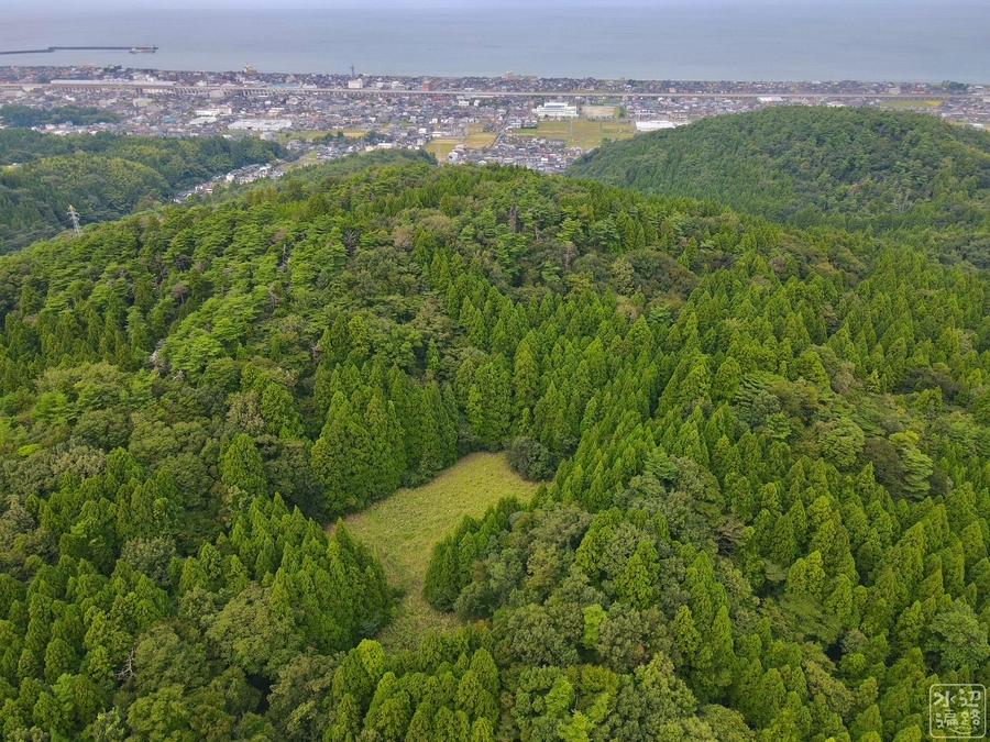 f:id:cippillo:20201221103859j:plain