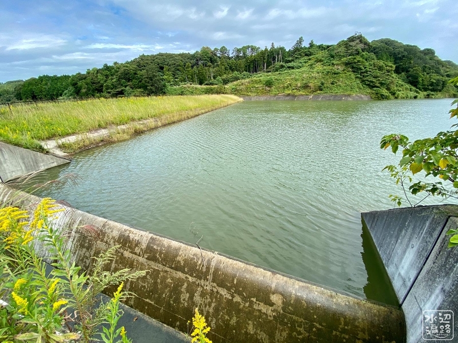 f:id:cippillo:20201224144424j:plain