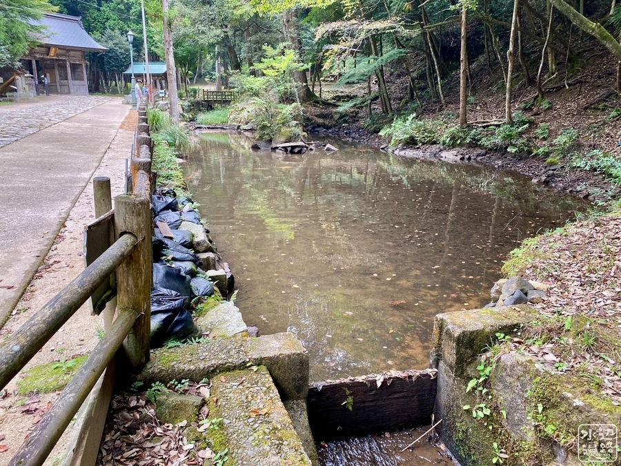 f:id:cippillo:20201228194452j:plain