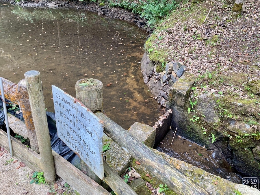 f:id:cippillo:20201228194502j:plain