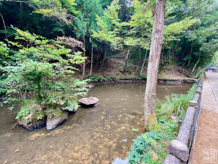 f:id:cippillo:20201228194513j:plain