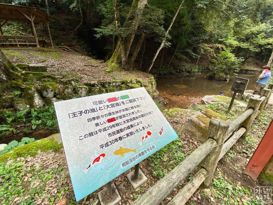 f:id:cippillo:20201228194521j:plain