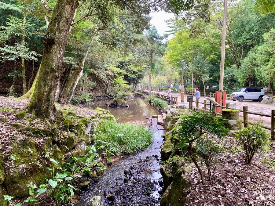 f:id:cippillo:20201228194540j:plain