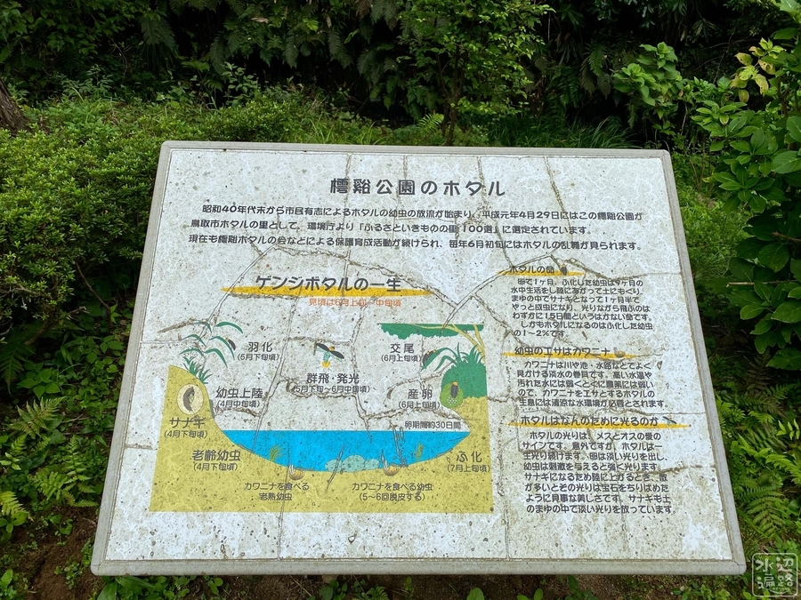 f:id:cippillo:20201229080731j:plain