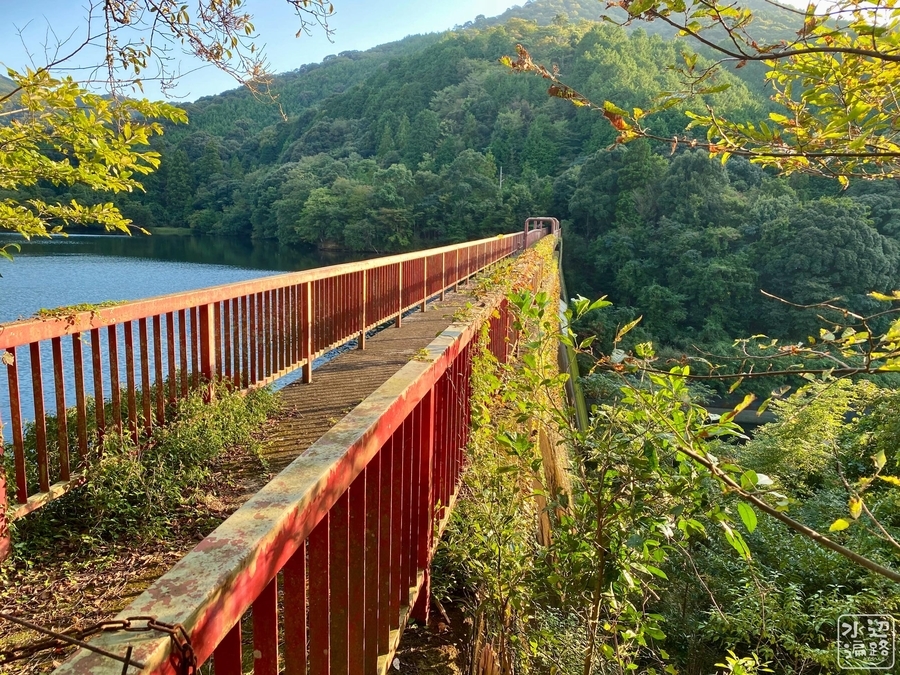 f:id:cippillo:20210104065418j:plain