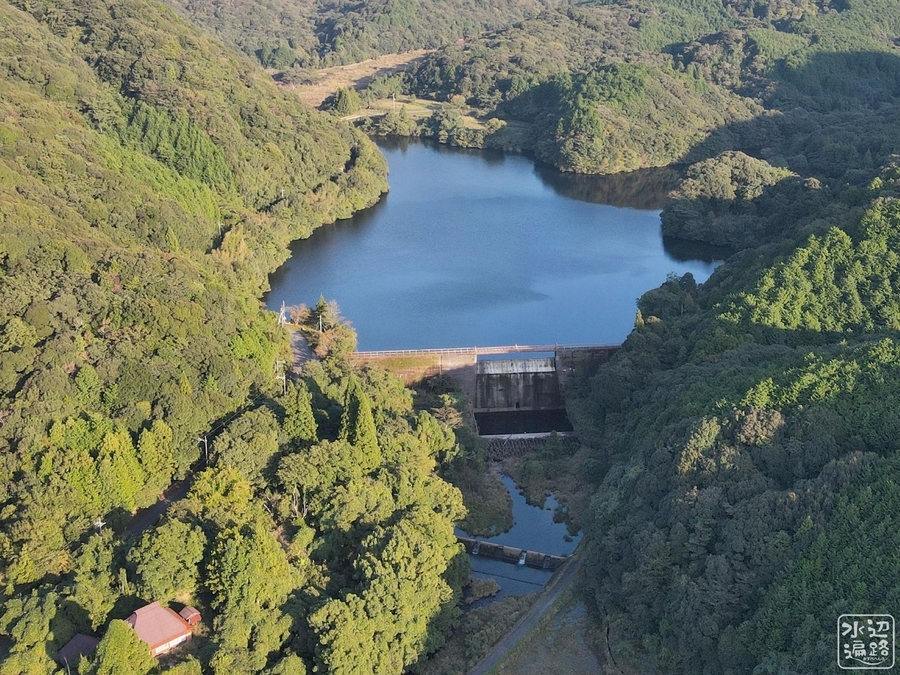 f:id:cippillo:20210104065537j:plain