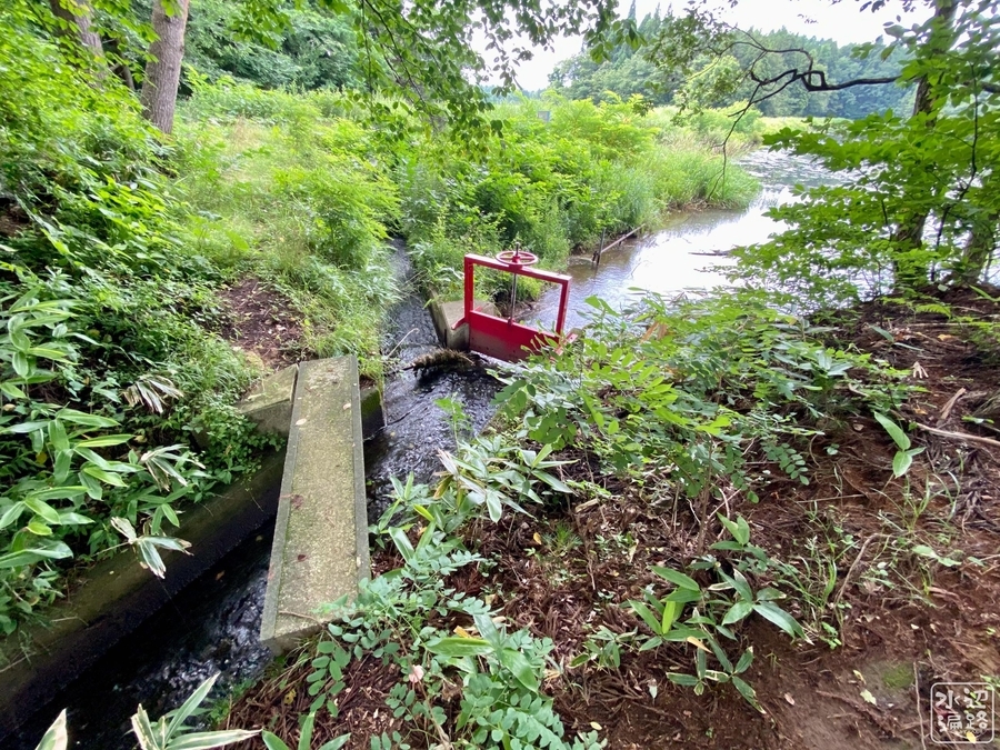 f:id:cippillo:20210106172235j:plain