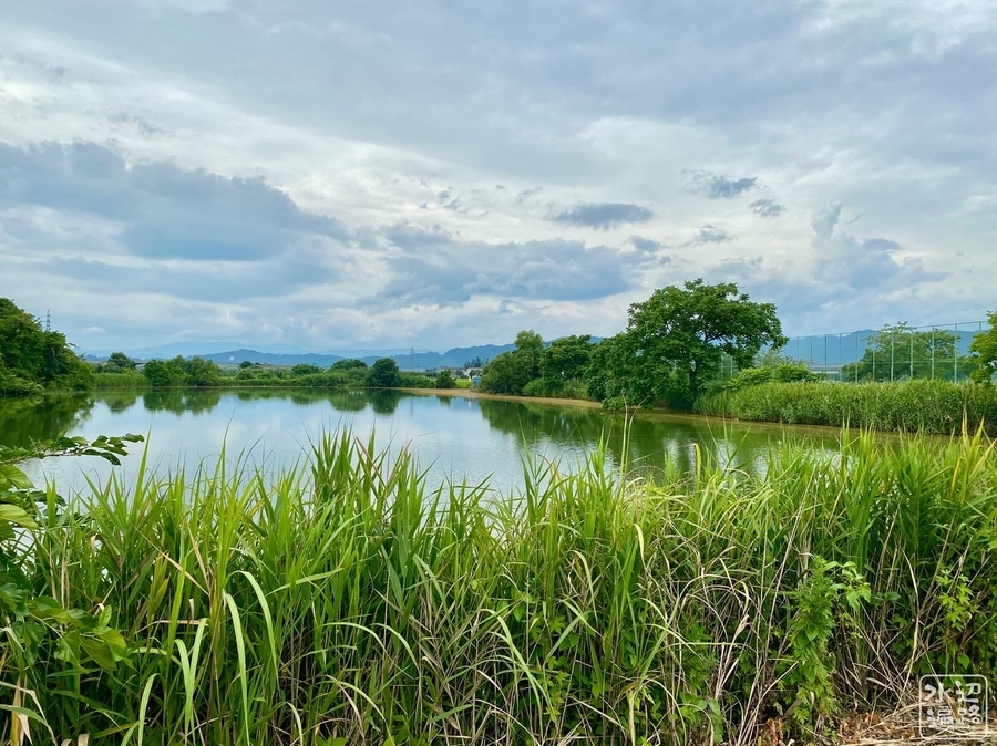 f:id:cippillo:20210122155046j:plain