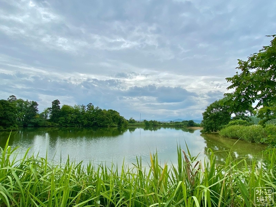 f:id:cippillo:20210122155052j:plain