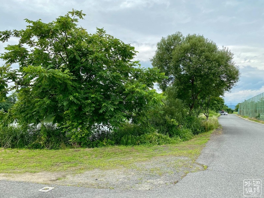 f:id:cippillo:20210122155058j:plain