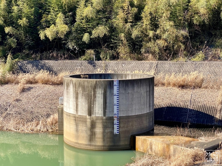 f:id:cippillo:20210208091023j:plain