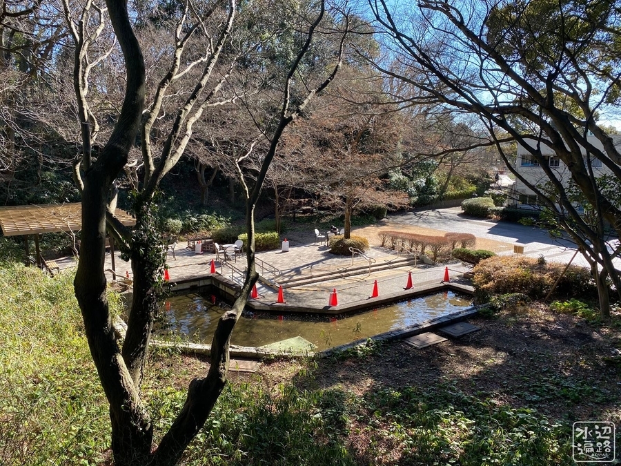 横浜市こども植物園の池 神奈川県横浜 水辺遍路