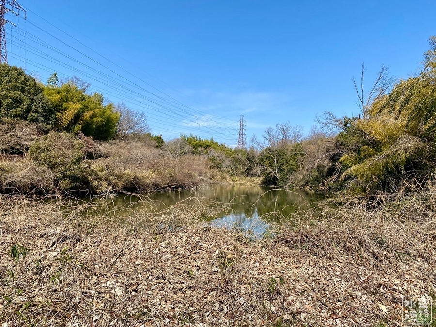 海老池（大阪府吹田） 水辺遍路