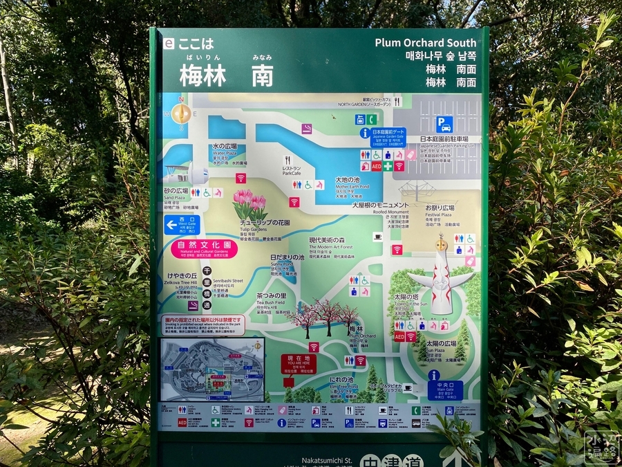 f:id:cippillo:20210217135528j:plain