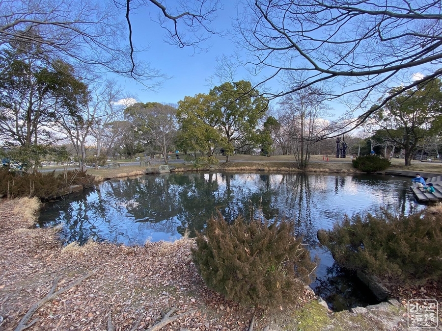 f:id:cippillo:20210217140224j:plain