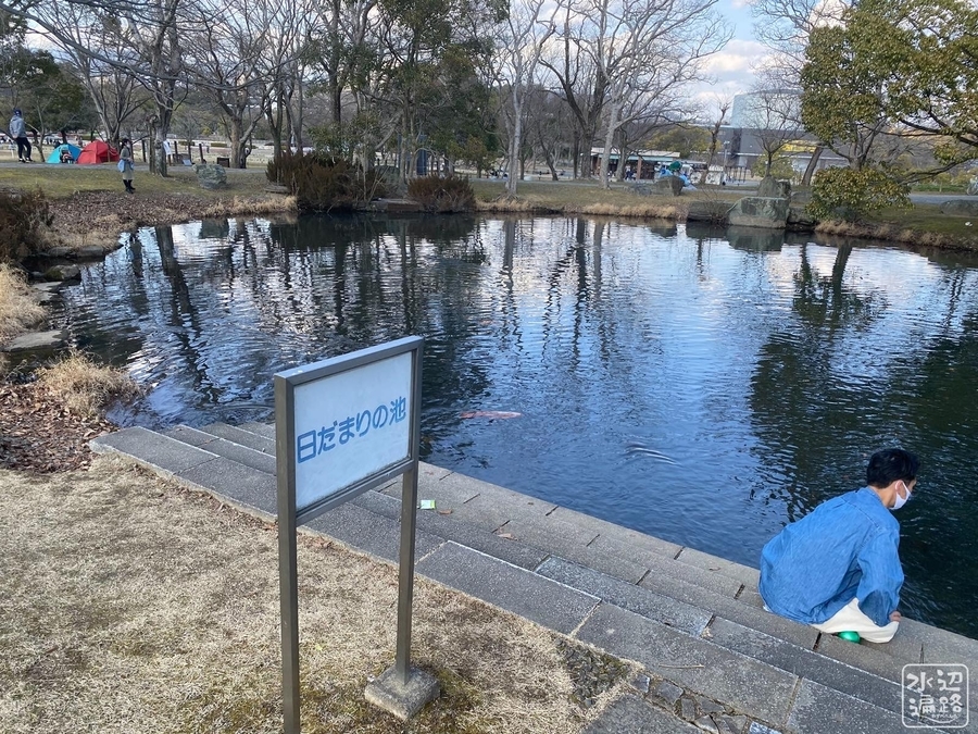 f:id:cippillo:20210217140230j:plain