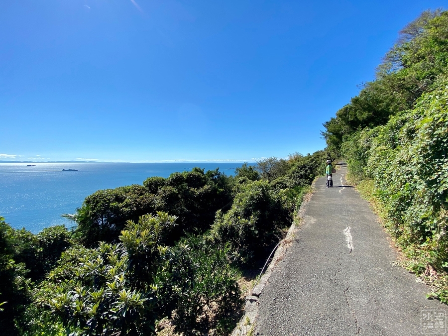 f:id:cippillo:20210227082617j:plain