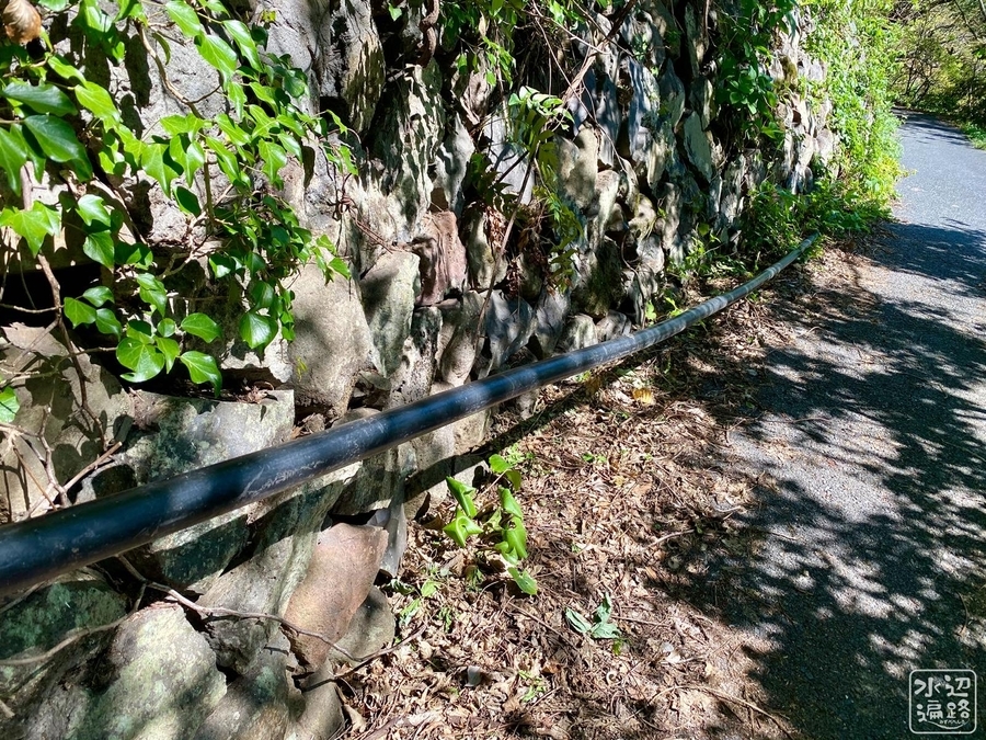 f:id:cippillo:20210227082706j:plain