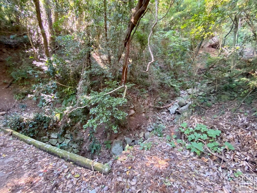 f:id:cippillo:20210227082724j:plain