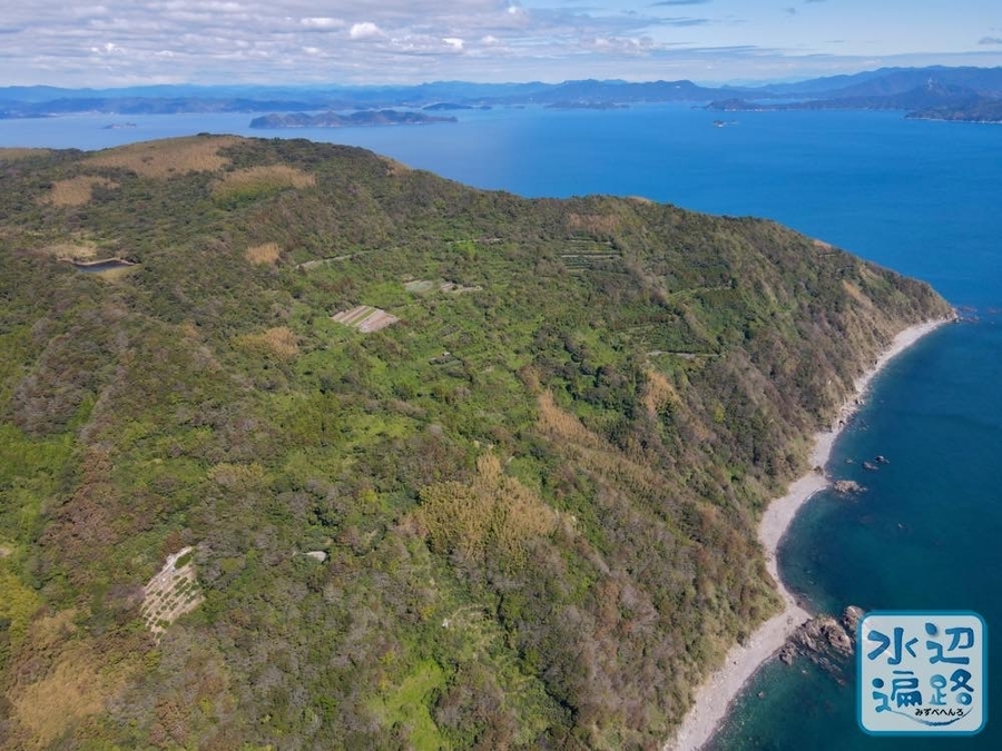 f:id:cippillo:20210227124134j:plain