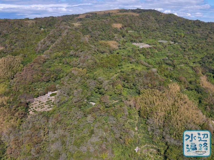 f:id:cippillo:20210227124140j:plain