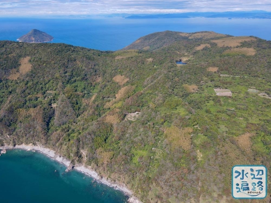 f:id:cippillo:20210227124156j:plain