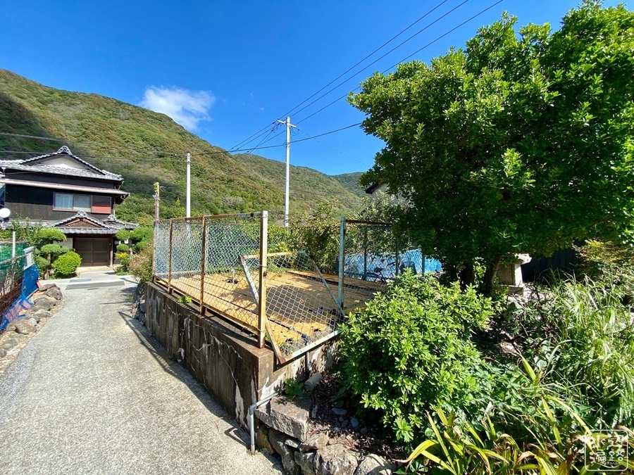 f:id:cippillo:20210227145036j:plain