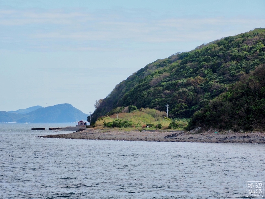 f:id:cippillo:20210227151918j:plain