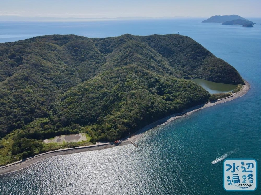 f:id:cippillo:20210227152026j:plain