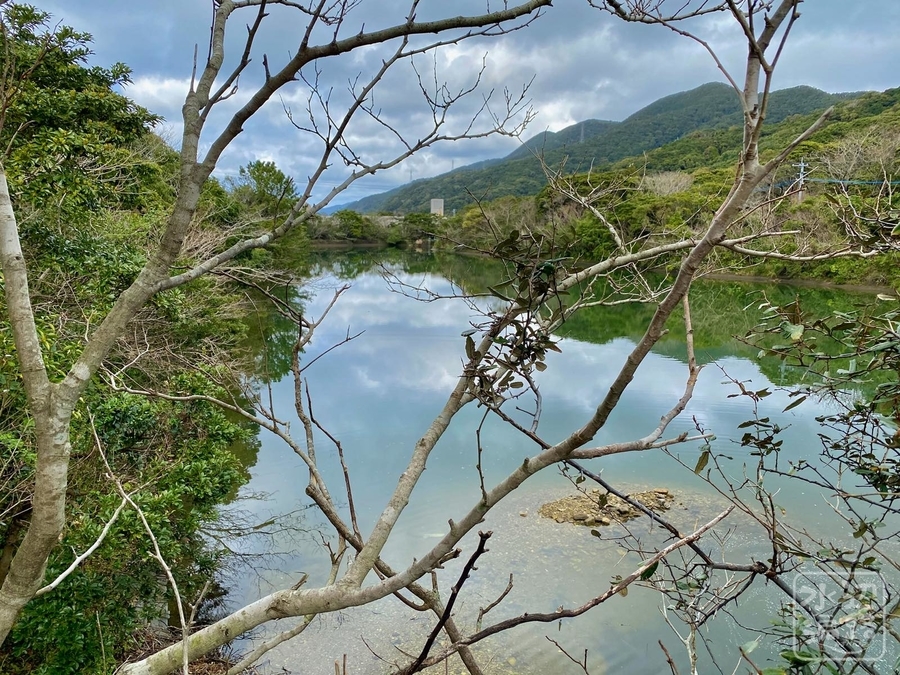 宮の森総合公園の南の池（仮称）（長崎県奈留島） - 水辺遍路