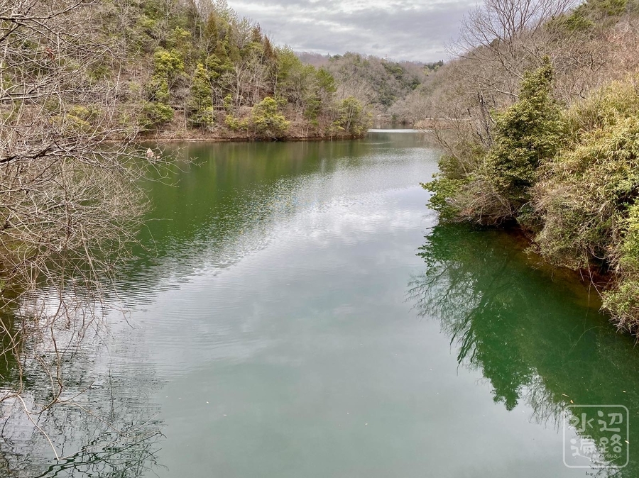 f:id:cippillo:20210322021407j:plain