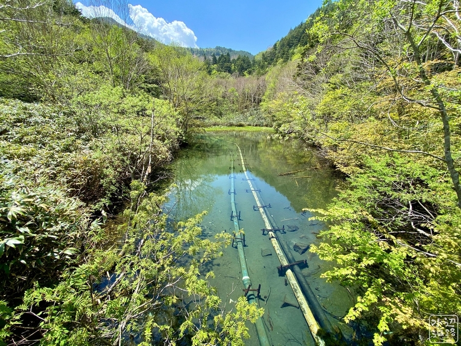 f:id:cippillo:20210328080428j:plain