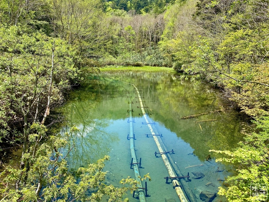 丸池水道水源池 長野県志賀高原 水辺遍路