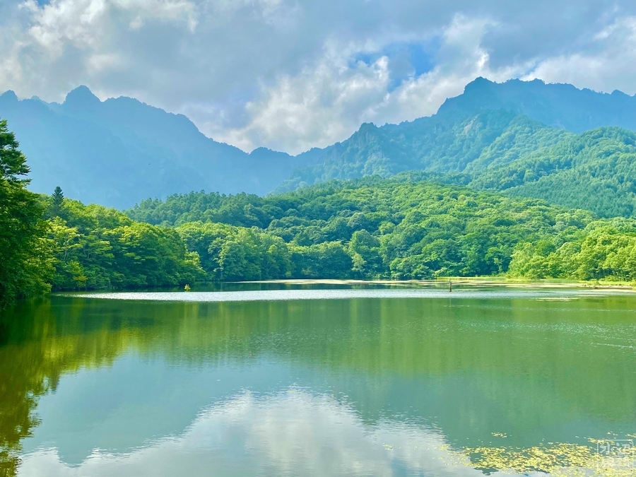 f:id:cippillo:20210329083740j:plain