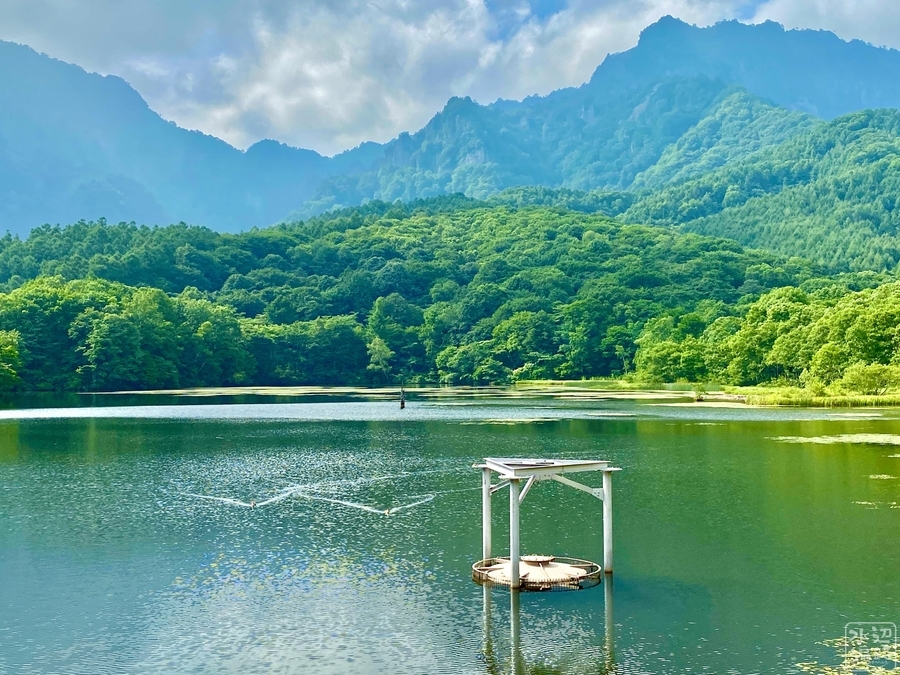 f:id:cippillo:20210329083752j:plain