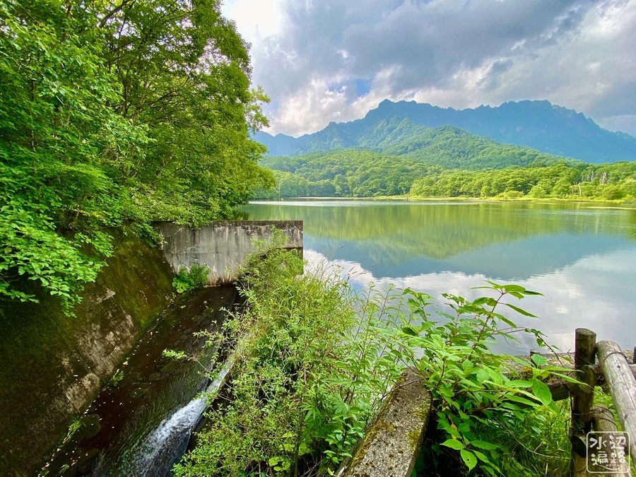 f:id:cippillo:20210329083836j:plain