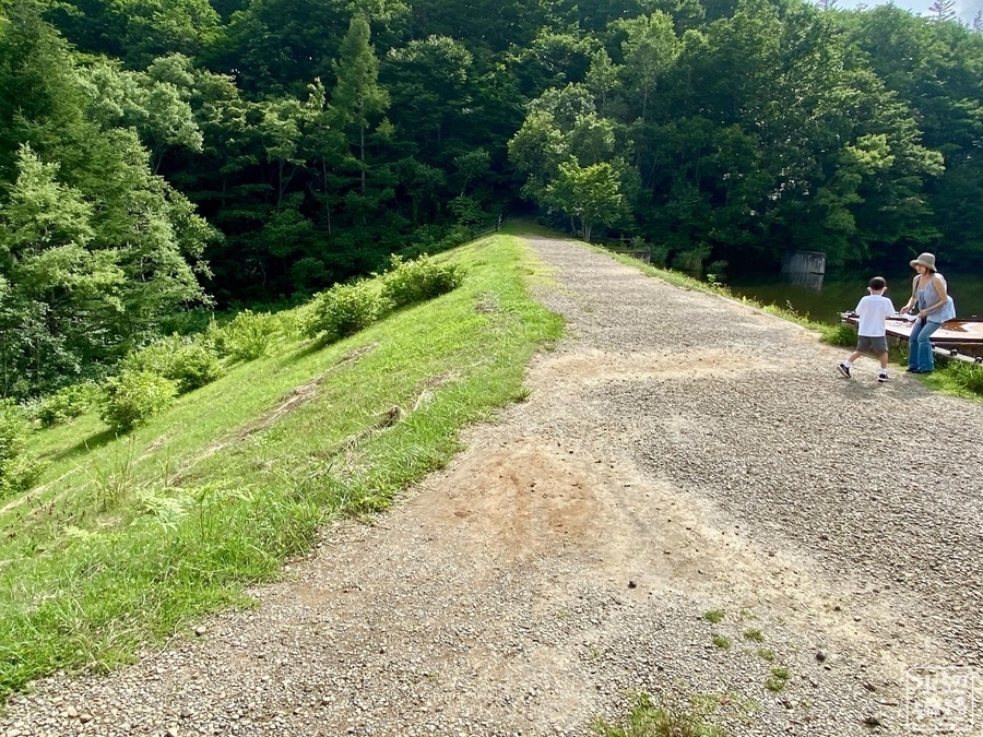 f:id:cippillo:20210329083843j:plain