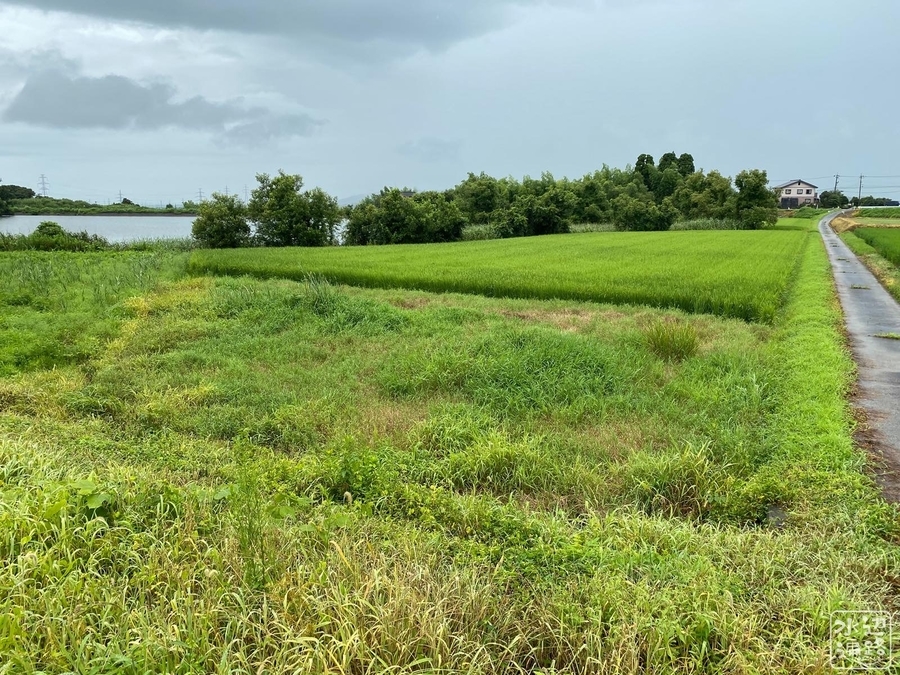 f:id:cippillo:20210331085042j:plain