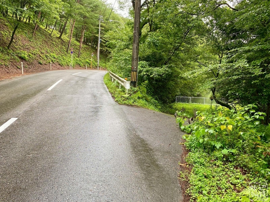 f:id:cippillo:20210331085941j:plain