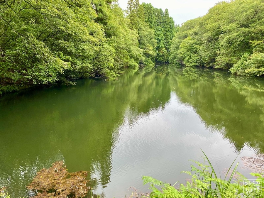 f:id:cippillo:20210331085954j:plain