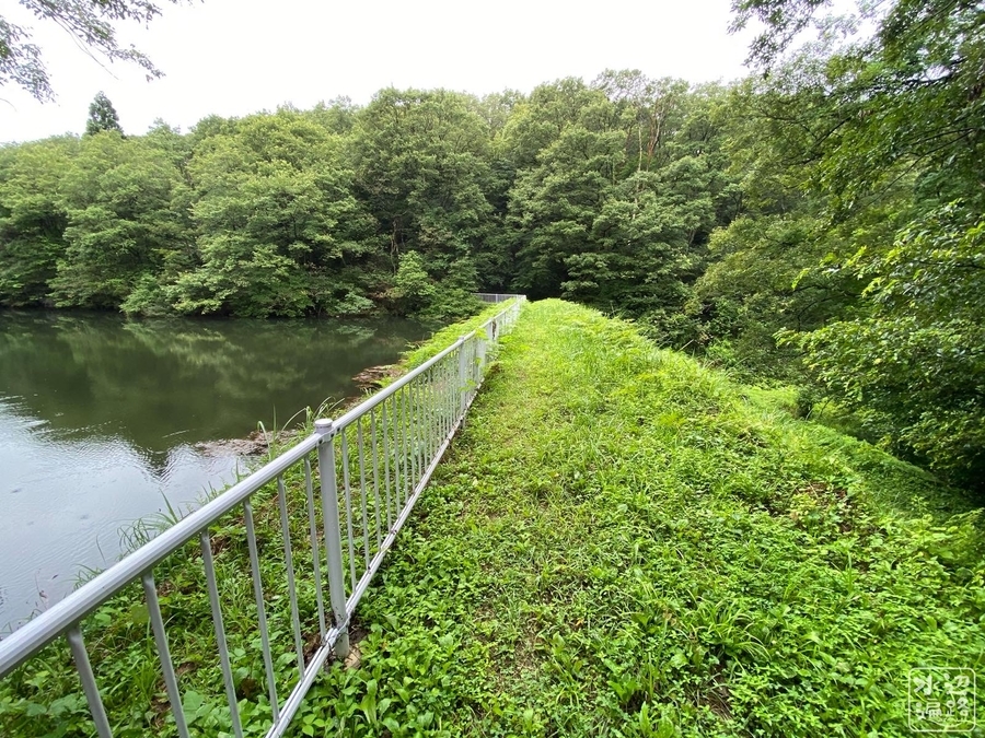 f:id:cippillo:20210331090007j:plain