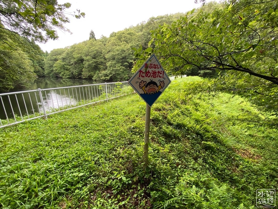 f:id:cippillo:20210331090351j:plain